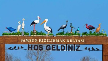 Kuş Cenneti Trafiğe Kapatıldı