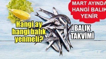 MART’TA HANGİ BALIK YENİR