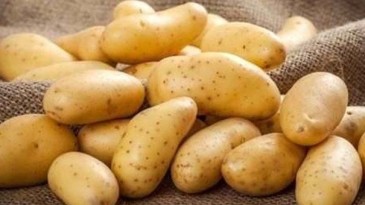 MUCİZE DİYET!!! BİR HAFTADA 5 KİLO VERDİREN PATATES SUYU DİYETİ