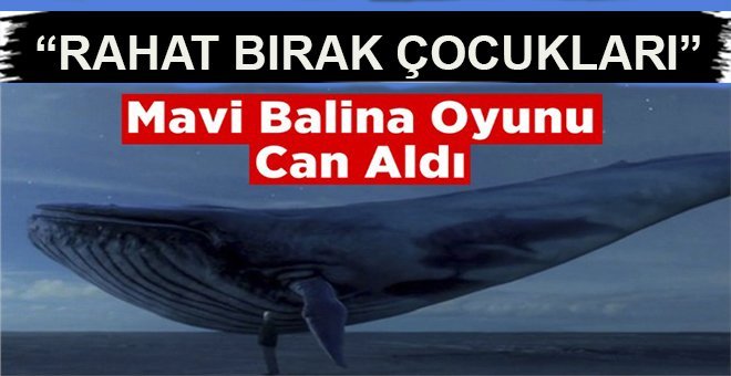 “Mavi Balina” yine gündemde