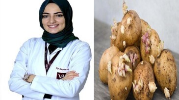 Yeşil patatese dikkat…ölümlere bile sebep oluyor!
