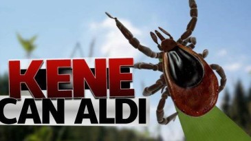 Kene 2 can aldı!