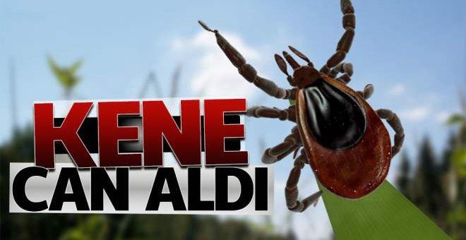 Kene 2 can aldı!