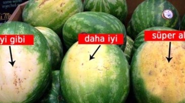 İyi karpuz nasıl seçilir?