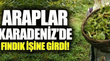 Yatırım amaçlı fındık bahçesi satın alıyorlar