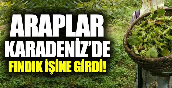 Yatırım amaçlı fındık bahçesi satın alıyorlar