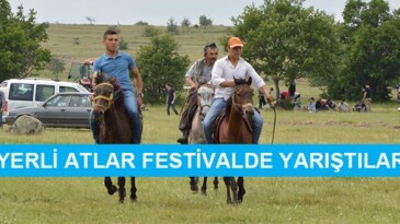 Havzalılar Çiğdemtepe festivalinde coştu