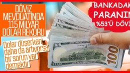 Vatandaş parasını dövizde tutuyor!