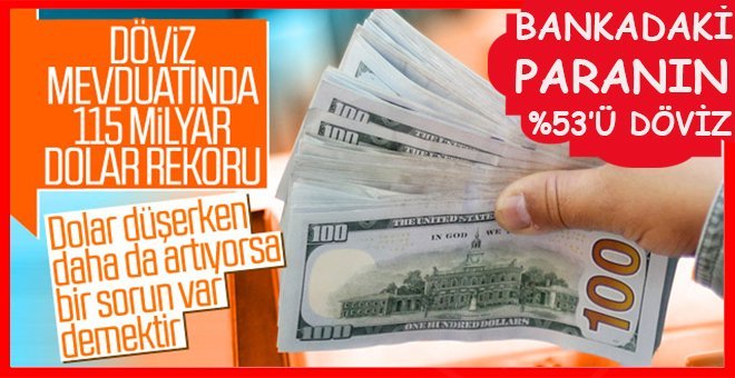 Vatandaş parasını dövizde tutuyor!