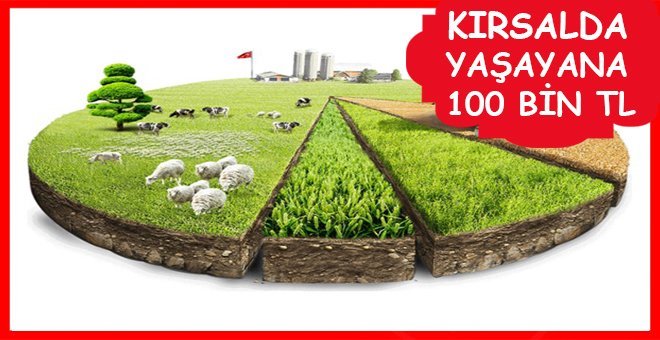 Resmi Gazete’de yayınlandı! Bu bölüm mezunlarına 100 bin TL hibe