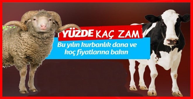 Kurban fiyatları ne kadar oldu?