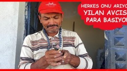 Evine yılan giren onu arıyor