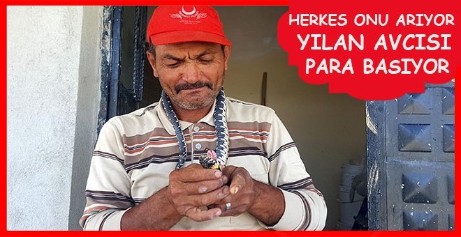 Evine yılan giren onu arıyor