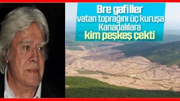 Malkoçoğlu tepki gösterdi