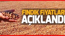 Cumhurbaşkanı Erdoğan fındık fiyatını açıkladı