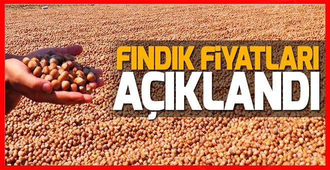 Cumhurbaşkanı Erdoğan fındık fiyatını açıkladı