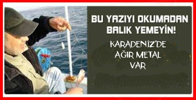 Gökhan Taşpınar: Karadeniz’de o balıkları çocuklara yedirmeyin!