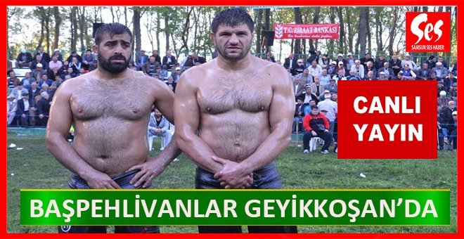 Alaçam Geyikkoşan Yağlı Güreşleri… Tıkla canlı izle…
