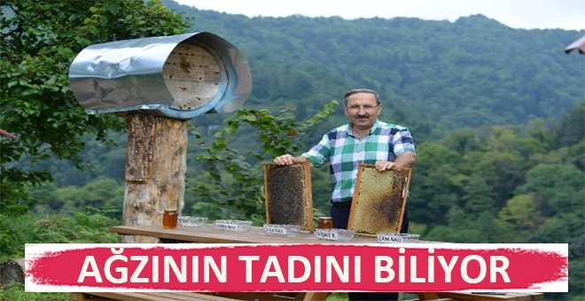 Anzer balının kalitesini ayılara tescil ettirdi!