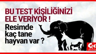 Bu test beyin yakıyor !