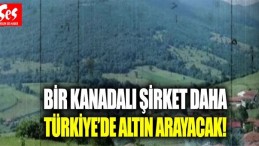 Kanadalı şirket Havza’da altın arayacak!