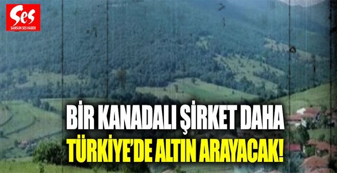 Kanadalı şirket Havza’da altın arayacak!