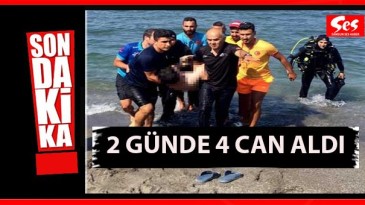 Karadeniz can almaya devam ediyor!