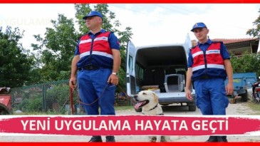 Kaybolursanız konumunuzu nasıl belirlersiniz?
