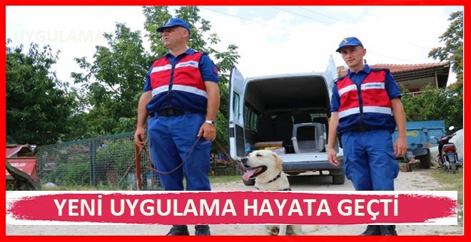 Kaybolursanız konumunuzu nasıl belirlersiniz?