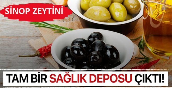 Sinop zeytini yok olmasın!