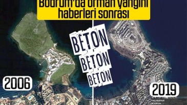 Bodrum’da ormanlık alanda yangın