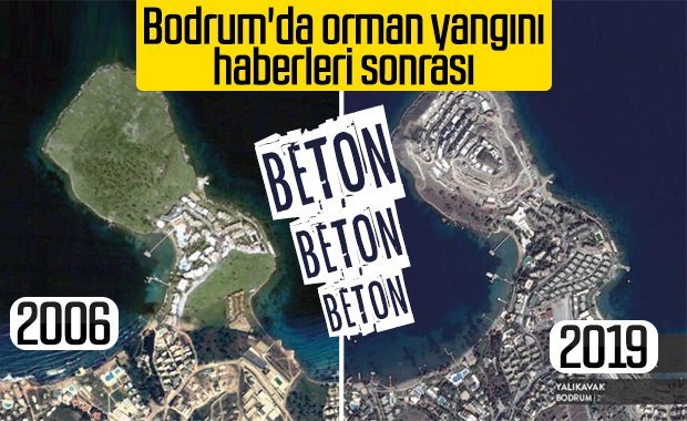 Bodrum’da ormanlık alanda yangın