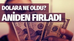 Dolar neden fırladı uzmanlar ne diyor!