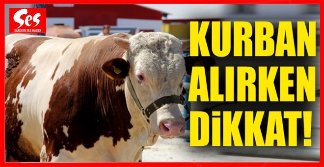 Kurban alırken nelere dikkat edilmeli!