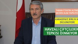 Havza’da ayçiçeği fiyatı değerlendirme toplantısı yapıldı!
