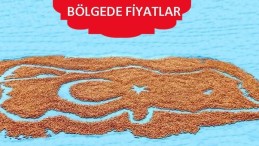 Fındık fiyatlarında son durum!