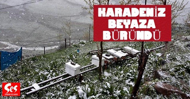 Kış erken geldi…Her yer bembeyaz!