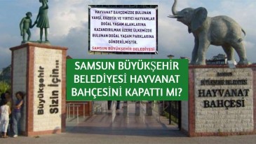 “Aslan Kral” artık özgür olacak mı?