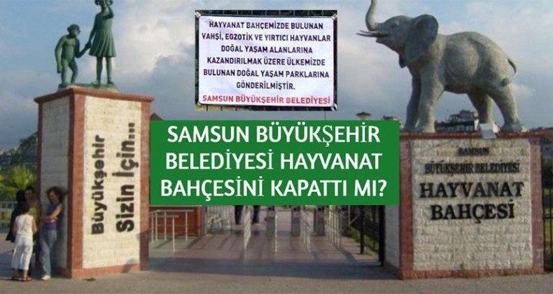 “Aslan Kral” artık özgür olacak mı?