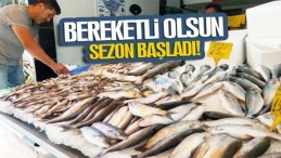 Av yasağı kalktı ! İşte ilden ile balık fiyatları