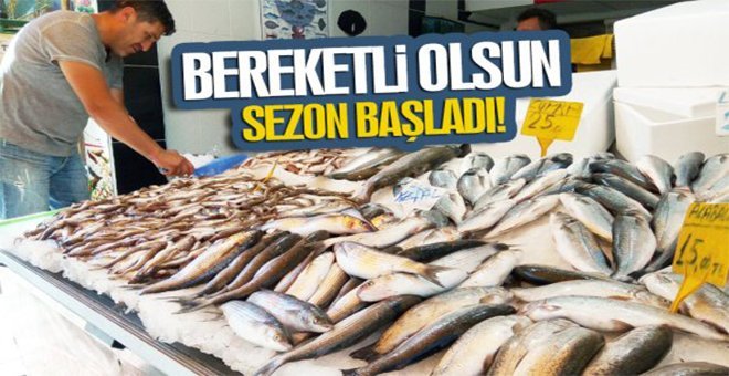 Av yasağı kalktı ! İşte ilden ile balık fiyatları