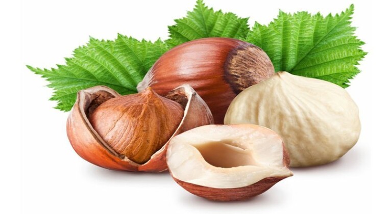 Ferrero Değerli Tarım Programı, Tedarik Zincirinin Dayanıklılığını Güçlendirdi