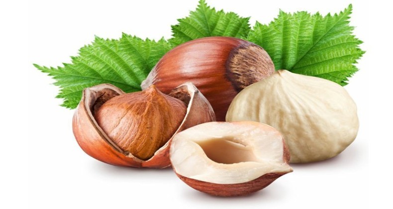 Ferrero Değerli Tarım Programı, Tedarik Zincirinin Dayanıklılığını Güçlendirdi