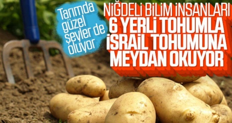 6 Çeşit yerli patates hasadı yapıldı