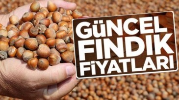  9 Ekim Çarşamba Güncel Fındık Fiyatları