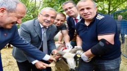 Başkan Güler’den hayvancılığa teşvik!