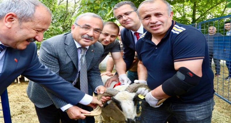 Başkan Güler’den hayvancılığa teşvik!