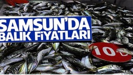 Hamsi 7 lira oldu: İşte Samsun balık fiyatları