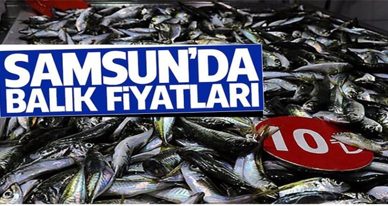 Hamsi 7 lira oldu: İşte Samsun balık fiyatları