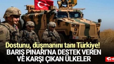 Harekata destek veren ve karşı çıkan ülkeler